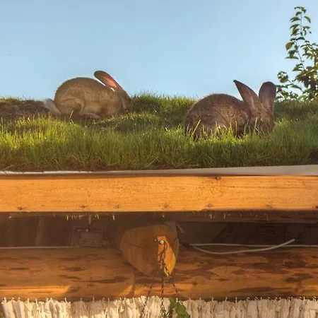 Tihiat Kut Complex Гостевой дом