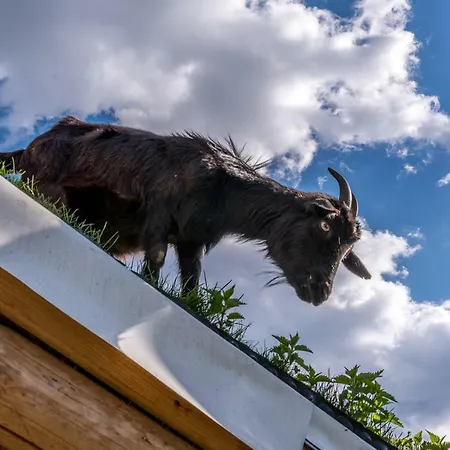 Tihiat Kut Complex 3*