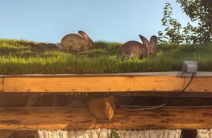 комплекс тихият кът Къща за гости