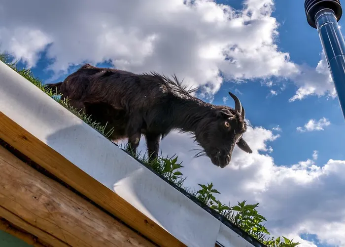 комплекс тихият кът 3*